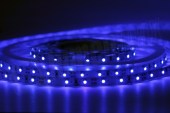 Taśma LED 3528 60LED/m IP20 (Niebieska) Rolka 5m Ta__ma_LED_3528__4d871c89b4cd8.jpg
